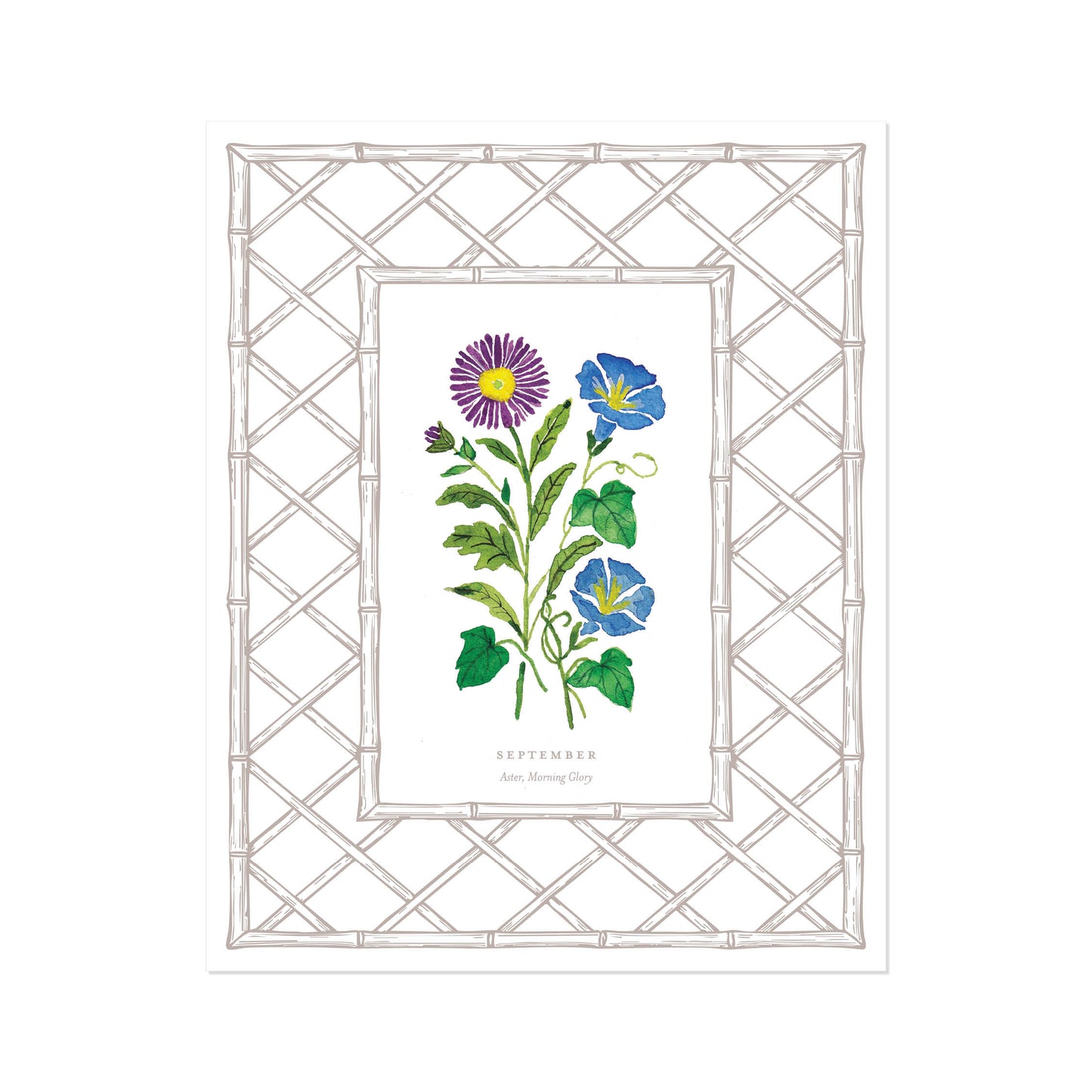 September Birth Flower Letterpress Art Print