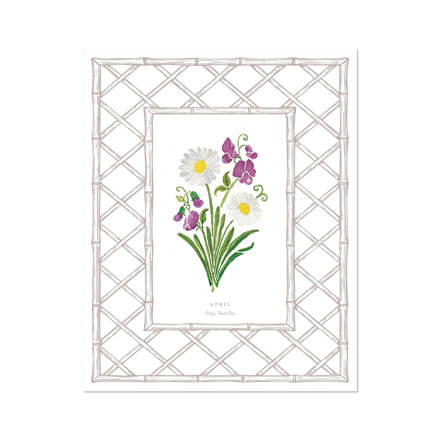 April Birth Flower Letterpress Art Print