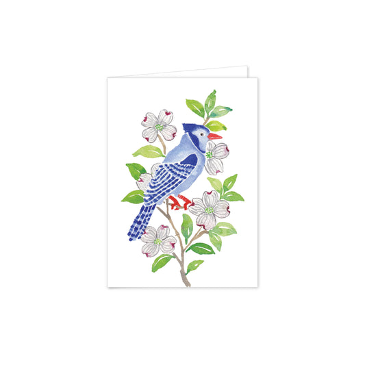 Jay Bird Folded Notes