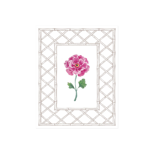 Butterfly Ranunculus Art Print