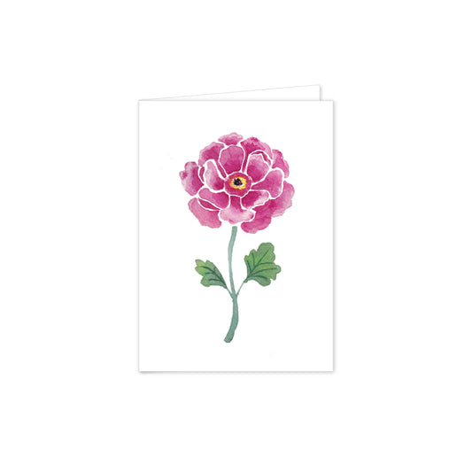 Butterfly Ranunculus Folded Notes