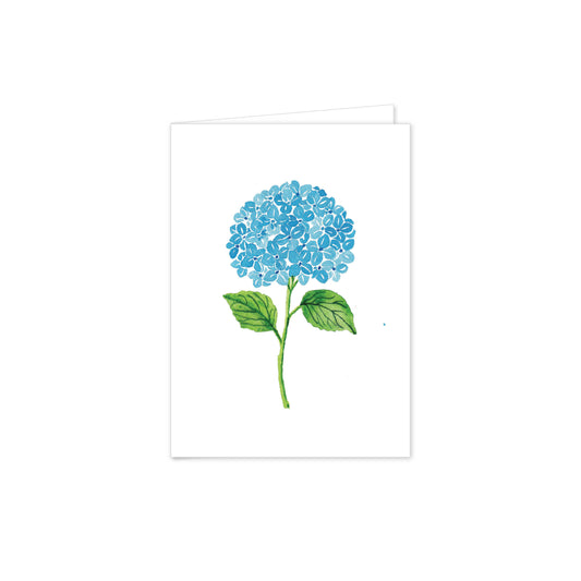 Hydrangea in Blue Folded Notes